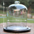 D22 * H 30 cm Glass Bell Cloche para exibição